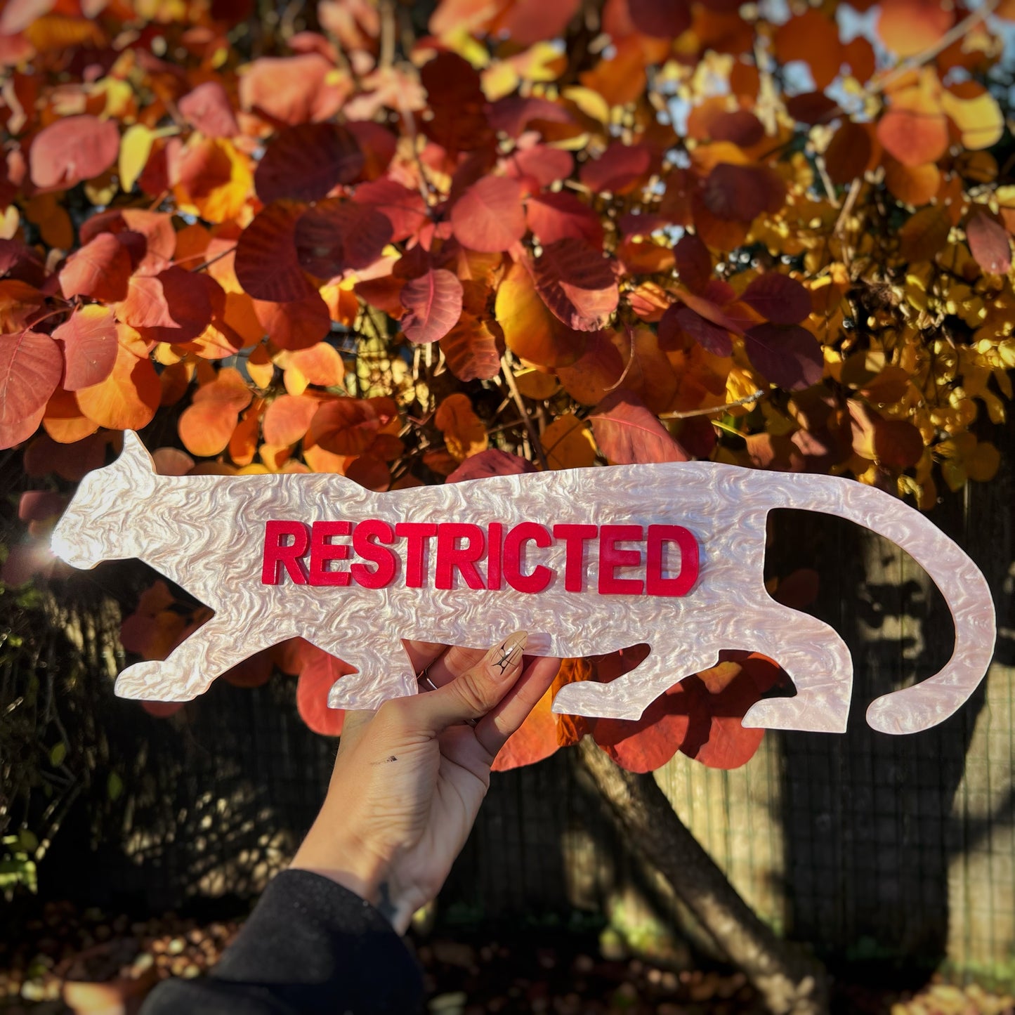 Restricted Jaguar Pink Wall Sign